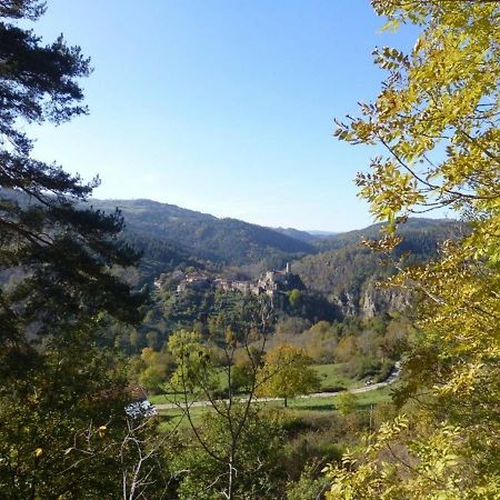 Gite En Pierre Avec Terrasses, Proche De Sites Medievaux, Ideal Pour Famille Avec Equipements Bebe. - Fr-1-582-256 Boisset  Bagian luar foto