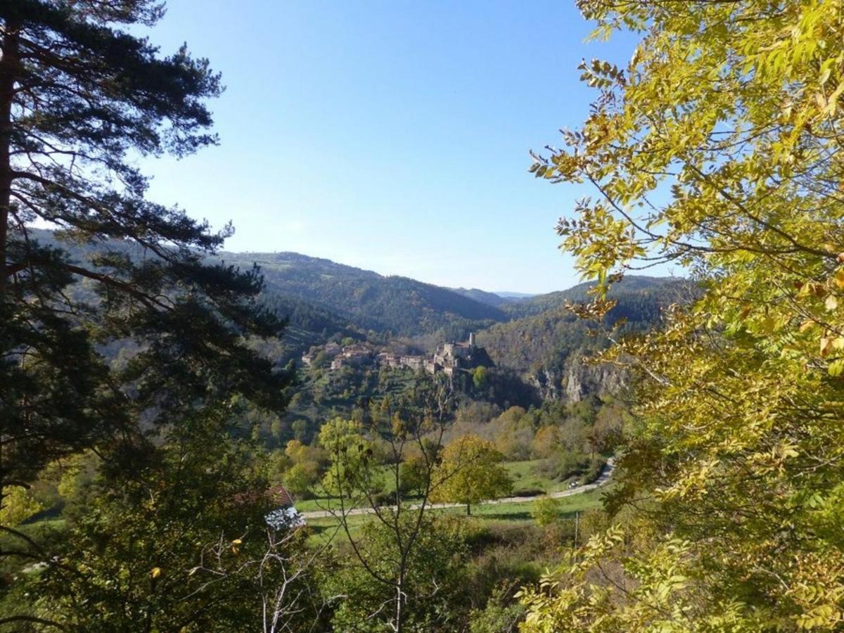 Gite En Pierre Avec Terrasses, Proche De Sites Medievaux, Ideal Pour Famille Avec Equipements Bebe. - Fr-1-582-256 Boisset  Bagian luar foto